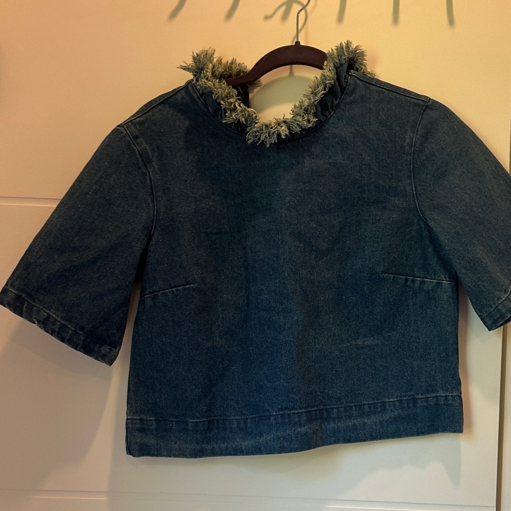 The Odell's denim top with Frayed Collar